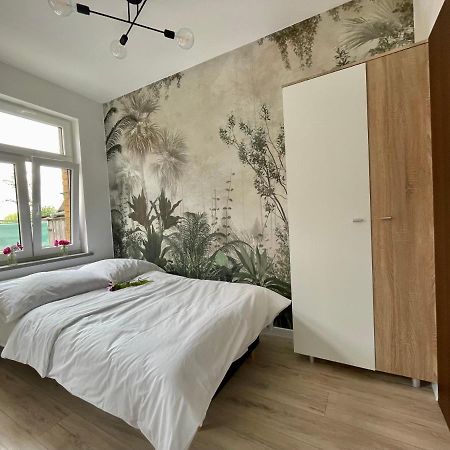 Studio Bielawa U Podnoza Gor Sowich Ngoại thất bức ảnh
