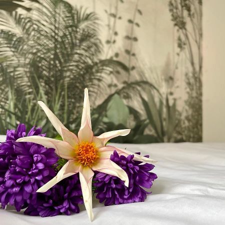 Studio Bielawa U Podnoza Gor Sowich Ngoại thất bức ảnh